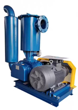 Vacuum feeding Roots blower