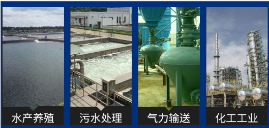 中央集尘输送罗茨鼓风机