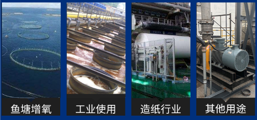 一体化污水处理罗茨鼓风机