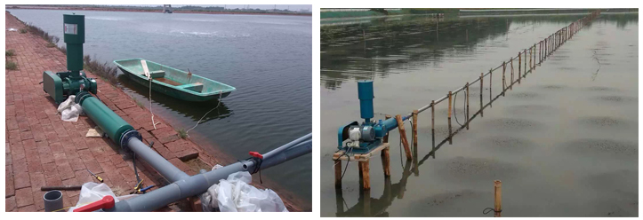 Roots blower aerator for aquaculture