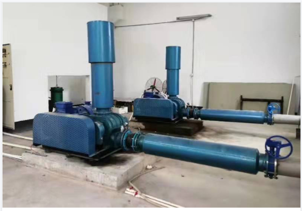 Backwashing Roots blower