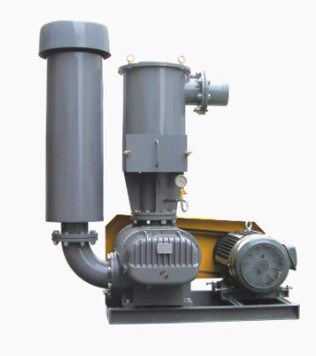 Lu style vacuum pump blower