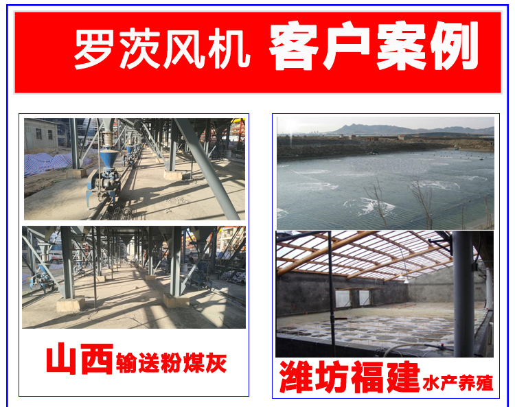 Roots blower for flue gas desulfurization