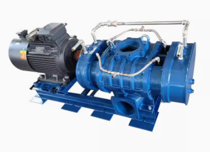 Biogas pressurized Roots blower