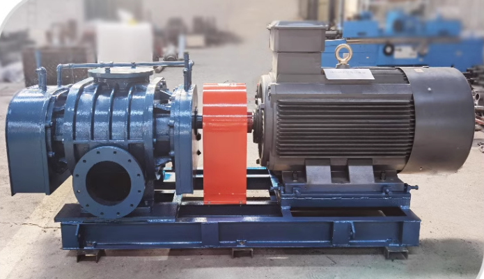 Direct Roots blower